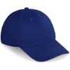 Pro Basic Cap 6 Panel