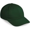 Pro Basic Cap 6 Panel
