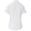 Ladies Short Sleeve Kensington Shirt