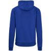 Mens Omega Hooded Sweater
