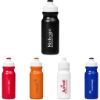 Altitude Carnival Plastic Water Bottle 300ml