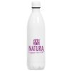 Atlantis Vacuum Water Bottle