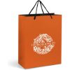 Altitude Omega Midi Paper Gift Bag