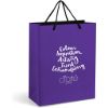 Altitude Omega Midi Paper Gift Bag