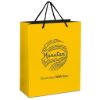 Altitude Omega Midi Paper Gift Bag