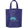 Altitude Giveaway Non Woven Shopper