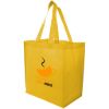 Altitude Shuttle Non Woven Shopper