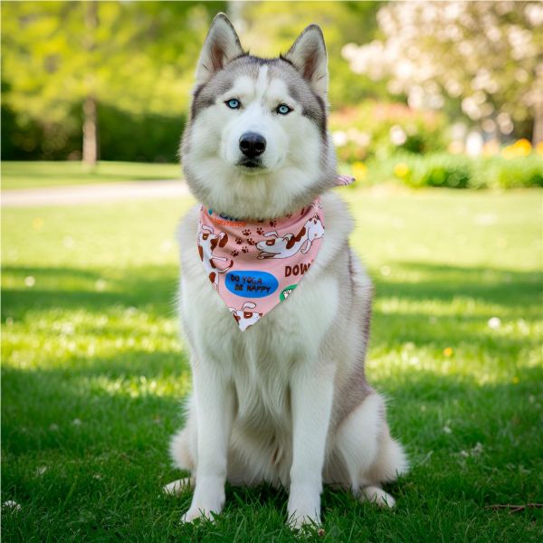Hoppla Bosco Large Polyester Dog Bandana