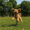 Altitude Catch Pet Frisbee