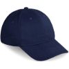 Pro Basic Cap 6 Panel