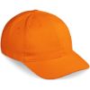 Pro Basic Cap 6 Panel