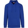 Mens Omega Hooded Sweater