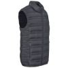 Mens Aurora Bodywarmer