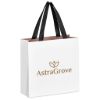 Altitude Galleria Mini Paper Gift Bag