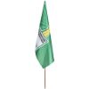Champion Large Hand Flag 90 X 60cm