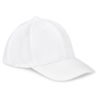 Fusion Laser 6 Panel Cap